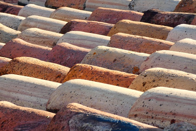 Fjern alger og mos fra fliserne én gang for alle