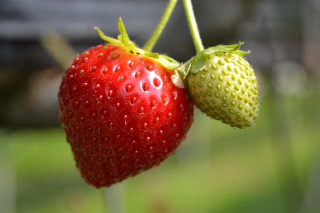 Case: Fra gammel til ny hjemmeside – sådan fik tandlægeklinikken flere henvendelser